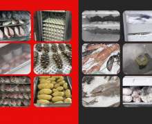 ห้องเย็นสแตนเลสสำเร็จรูป มีให้เลือก -45 และ -80 องศาC