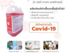 น้ำยาฆ่าเชื้อโรค น้ำยาทำความสะอาดยับยั้งแบคทีเรียแบบเข้มข้น 22 มัลติ-ควอท แซนิไทเซอร์ 22 MULTI-QUAT SANITIZER 2 ลิตร