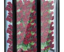 ตู้แช่ดอกไม้  กระจกนิรภัย 3 ด้าน